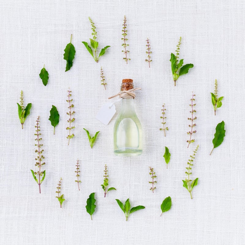 Herbs and Plants